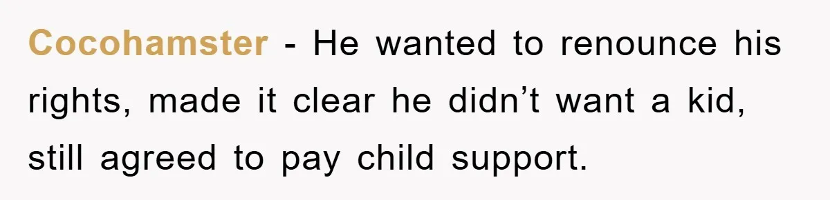 Cocohamster - He wanted to renounce his rights, made it clear he didn’t want a kid, still agreed to pay child support.