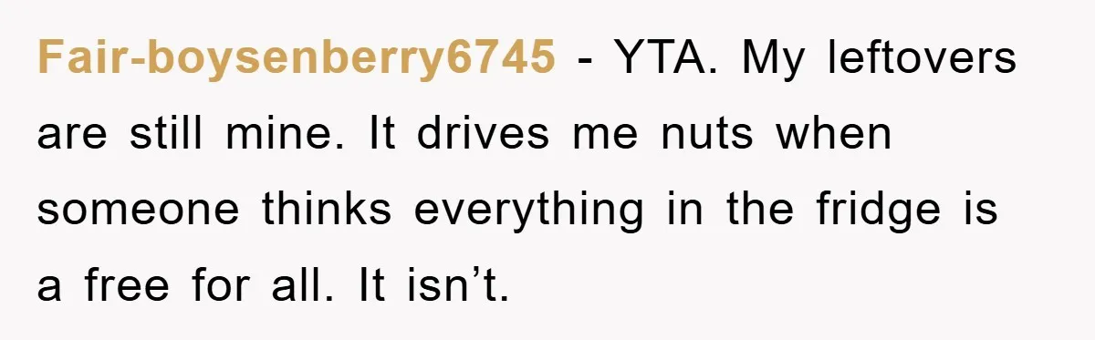 Fair-boysenberry6745 - YTA. My leftovers are still mine. It drives me nuts when someone thinks everything in the fridge is a free for all. It isn’t.