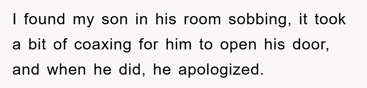 I found my son in his room sobbing, it took a bit of coaxing for him to open his door, and when he did, he apologized.