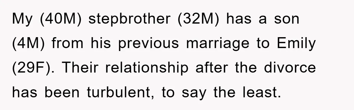 My (40M) stepbrother (32M) has a son (4M) from his previous marriage to Emily (29F). Their relationship after the divorce has been turbulent, to say the least.