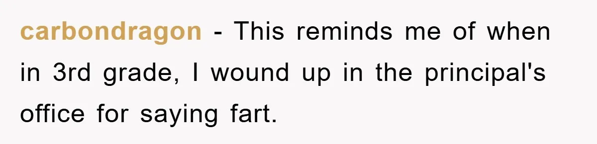 carbondragon - This reminds me of when in 3rd grade, I wound up in the principal's office for saying fart.