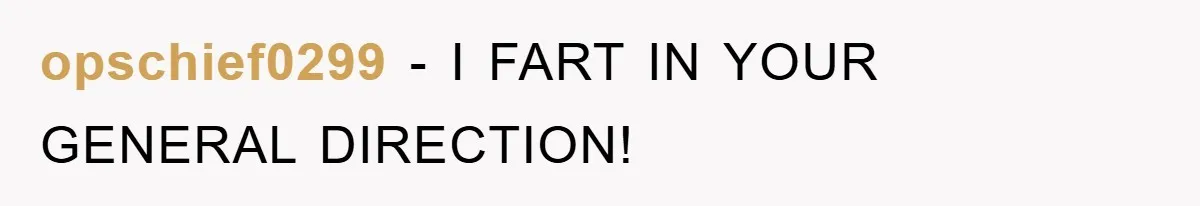 opschief0299 - I FART IN YOUR GENERAL DIRECTION!