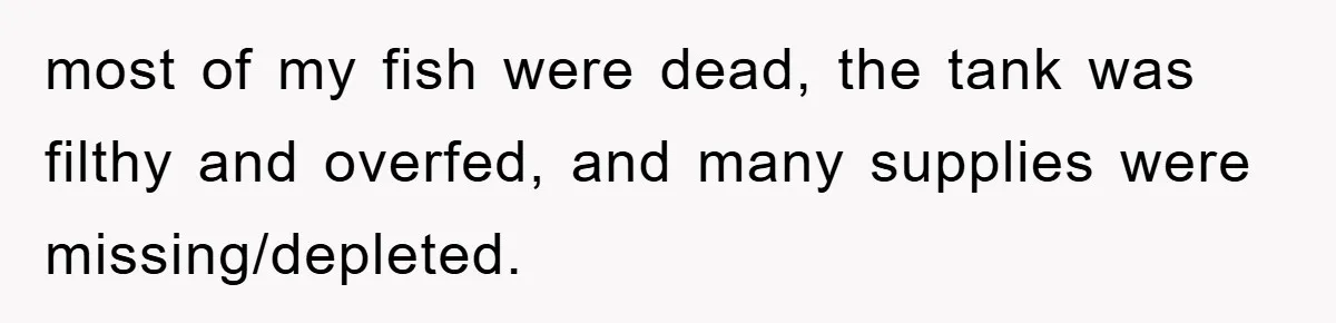 most of my fish were dead, the tank was filthy and overfed, and many supplies were missing/depleted.