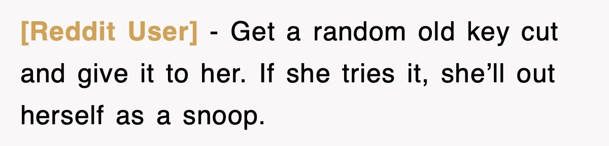 [Reddit User] - Get a random old key cut and give it to her. If she tries it, she’ll out herself as a snoop.