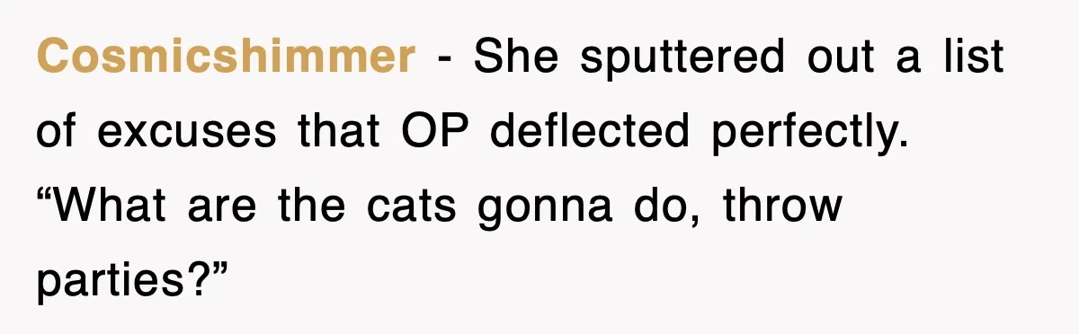 Mother-In-Law Throws Hissy Fit After Couple Refuses to Hand Over Apartment Keys Cosmicshimmer - She sputtered out a list of excuses that OP deflected perfectly. “What are the cats gonna do, throw parties?”