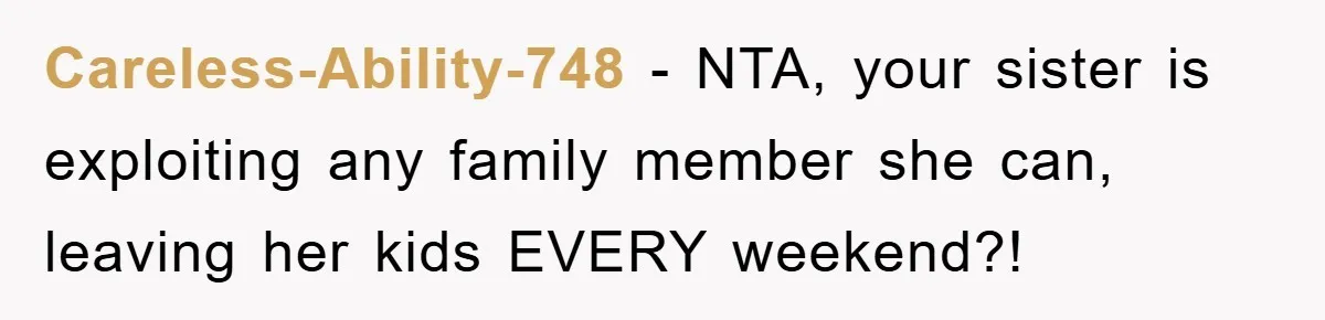 Careless-Ability-748 − NTA, your sister is exploiting any family member she can, leaving her kids EVERY weekend?!