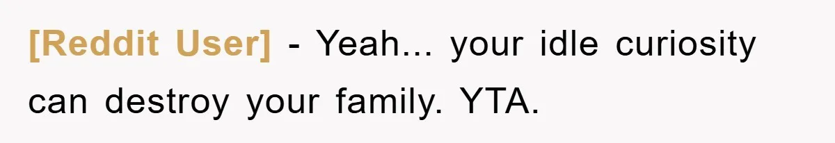 [Reddit User] − Yeah... your idle curiosity can destroy your family. YTA.