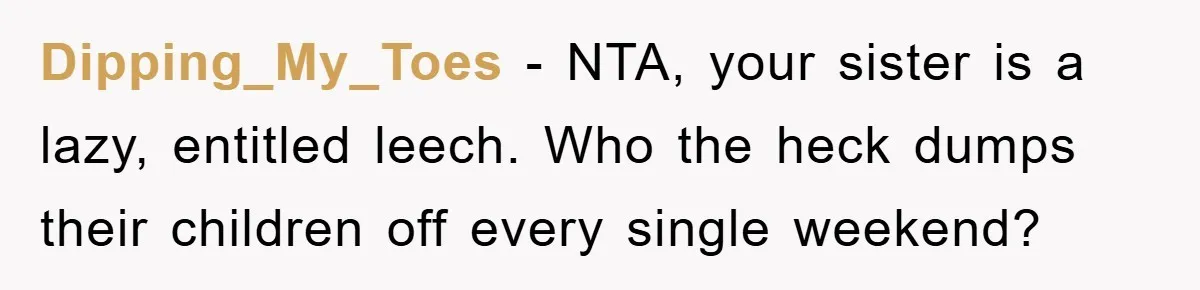 Dipping_My_Toes − NTA, your sister is a lazy, entitled leech. Who the heck dumps their children off every single weekend?