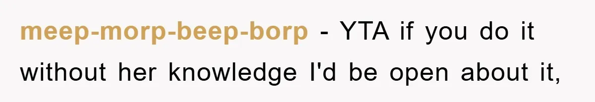 meep-morp-beep-borp − YTA if you do it without her knowledge I'd be open about it,
