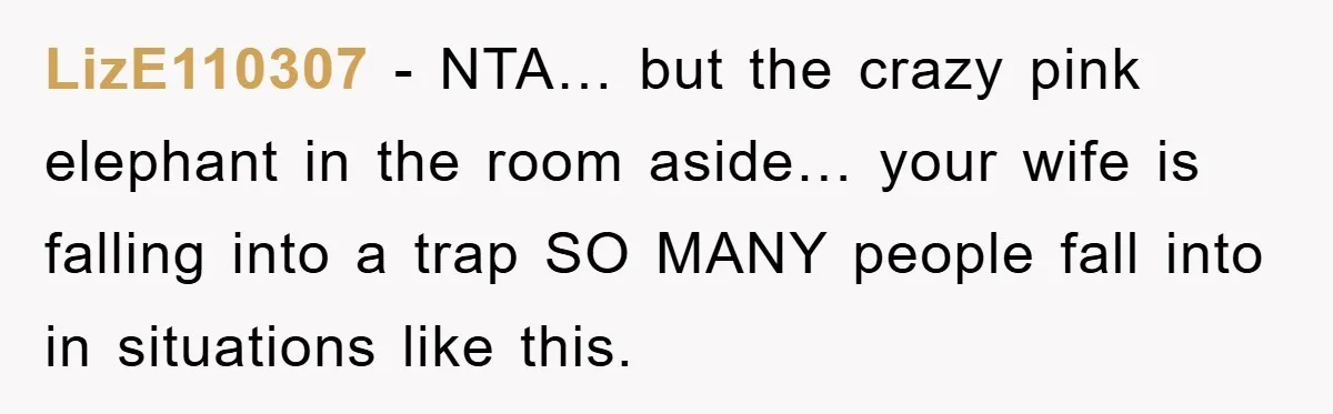 LizE110307 − NTA… but the crazy pink elephant in the room aside… your wife is falling into a trap SO MANY people fall into in situations like this.