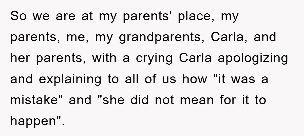 Awkward Family Apology For Affair Ends With One Sister Saying What Everyone Was Thinking So we are at my parents' place, my parents, me, my grandparents, Carla, and her parents, with a crying Carla apologizing and explaining to all of us how "it was...