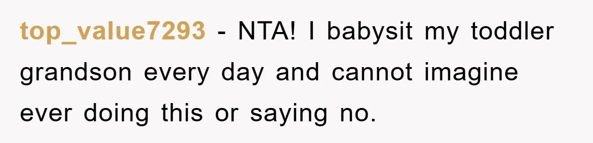 top_value7293 − NTA! I babysit my toddler grandson every day and cannot imagine ever doing this or saying no.