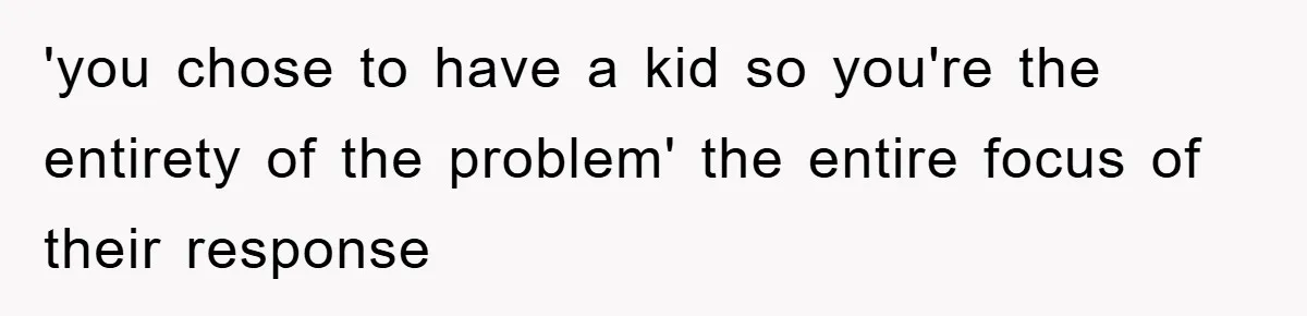 'you chose to have a kid so you're the entirety of the problem' the entire focus of their response
