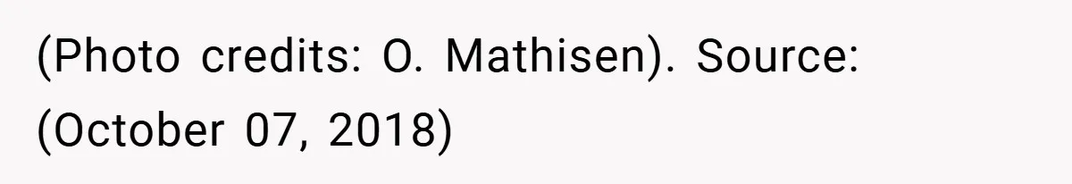 (Photo credits: O. Mathisen). Source: (October 07, 2018)