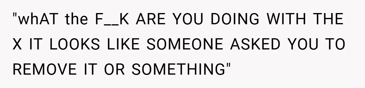 "whAT the F__K ARE YOU DOING WITH THE X IT LOOKS LIKE SOMEONE ASKED YOU TO REMOVE IT OR SOMETHING"
