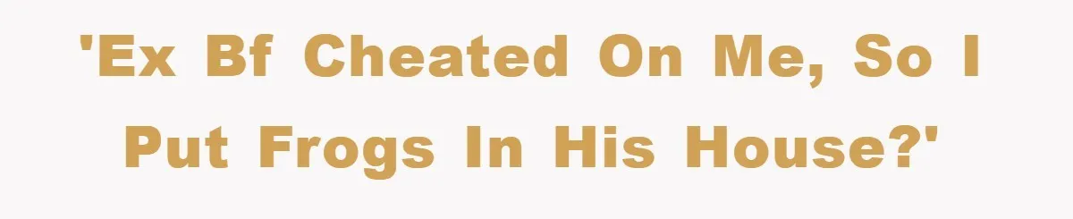 Her Boyfriend Cheats With 5 Girls, She Takes An Amphibious Revenge, Exposing His Man-Child Behavior 'Ex bf cheated on me, so I put frogs in his house?'