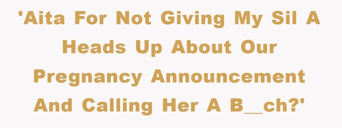 'AITA for Not giving my SIL a heads up about our pregnancy announcement and calling her a b__ch?'