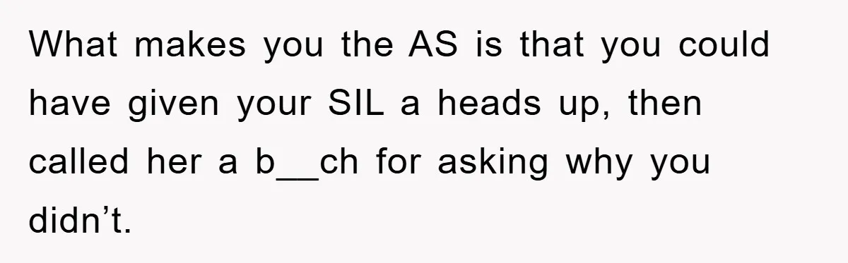 What makes you the AS is that you could have given your SIL a heads up, then called her a b__ch for asking why you didn’t.