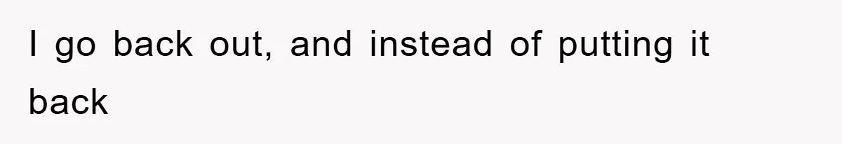 I go back out, and instead of putting it back