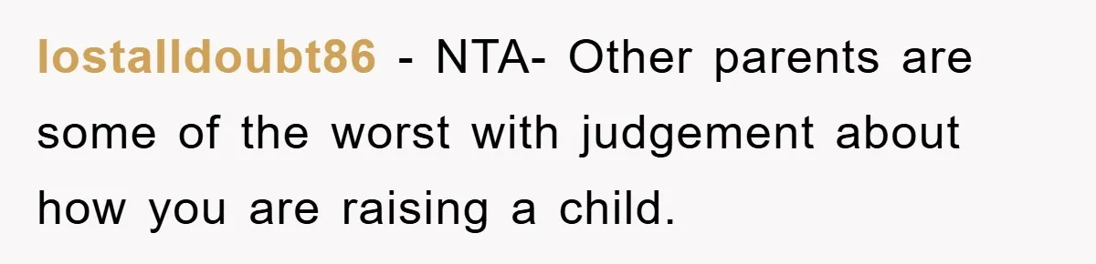 lostalldoubt86 − NTA- Other parents are some of the worst with judgement about how you are raising a child.