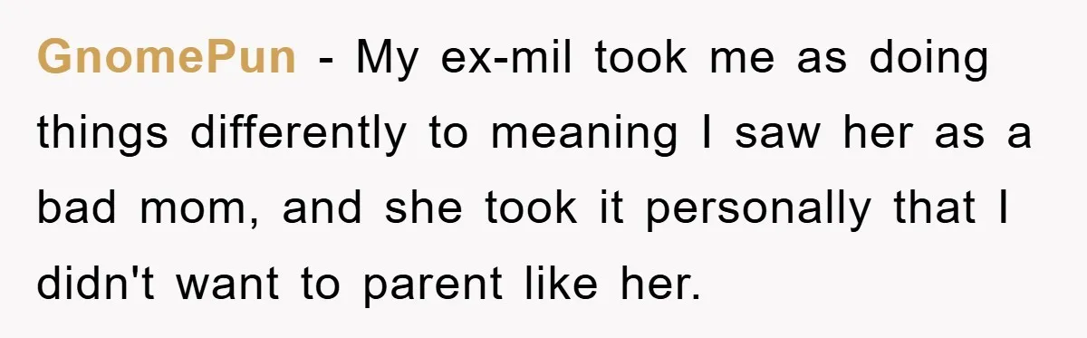 Tired Mom Finally Snapped When Her MIL Claimed She Was ‘Building Bad Habits’ With Her Newborn GnomePun − My ex-mil took me as doing things differently to meaning I saw her as a bad mom, and she took it personally that I didn't want to parent...