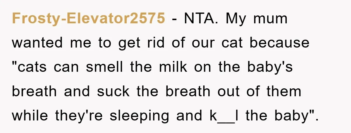 Tired Mom Finally Snapped When Her MIL Claimed She Was ‘Building Bad Habits’ With Her Newborn Frosty-Elevator2575 − NTA. My mum wanted me to get rid of our cat because "cats can smell the milk on the baby's breath and suck the breath out of them...