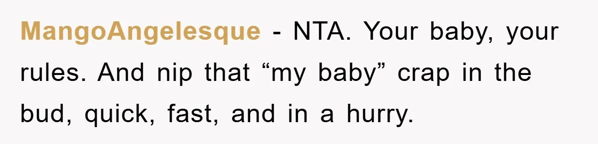Tired Mom Finally Snapped When Her MIL Claimed She Was ‘Building Bad Habits’ With Her Newborn MangoAngelesque − NTA. Your baby, your rules. And nip that “my baby” crap in the bud, quick, fast, and in a hurry.