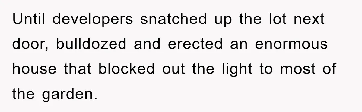Until developers snatched up the lot next door, bulldozed and erected an enormous house that blocked out the light to most of the garden.
