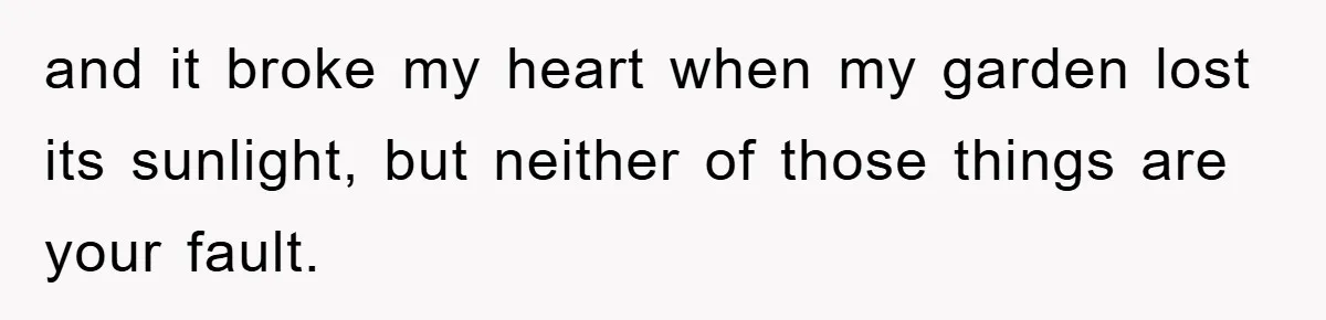 and it broke my heart when my garden lost its sunlight, but neither of those things are your fault.