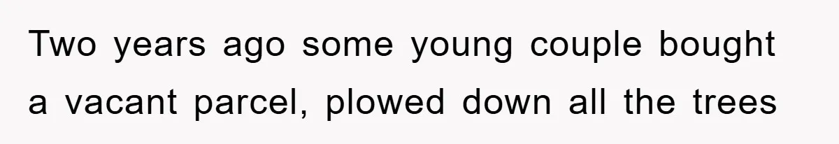 Two years ago some young couple bought a vacant parcel, plowed down all the trees