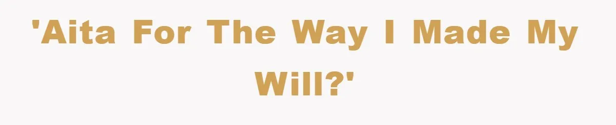 'AITA for the way I made my will?'