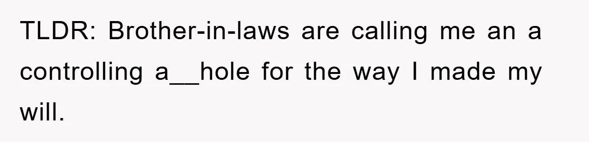 TLDR: Brother-in-laws are calling me an a controlling a__hole for the way I made my will.