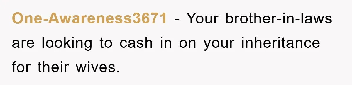 One-Awareness3671 − Your brother-in-laws are looking to cash in on your inheritance for their wives.