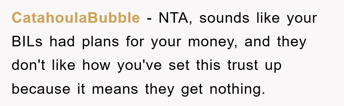 CatahoulaBubble − NTA, sounds like your BILs had plans for your money, and they don't like how you've set this trust up because it means they get nothing.