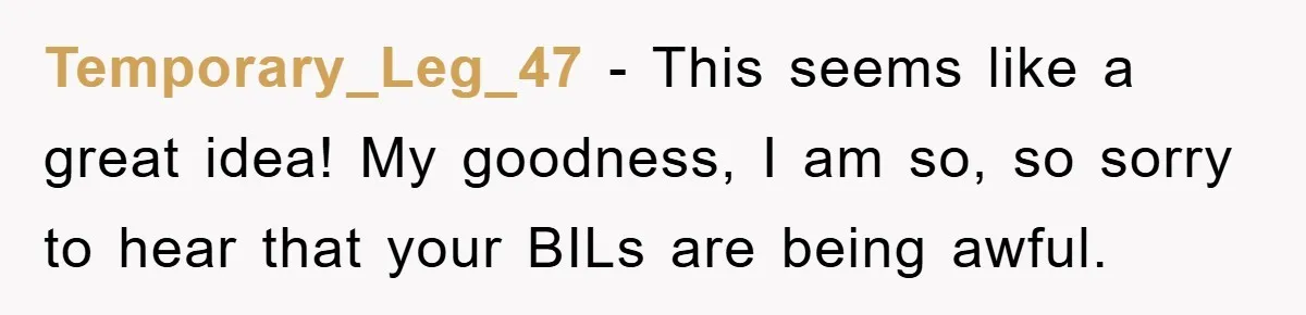 Temporary_Leg_47 − This seems like a great idea! My goodness, I am so, so sorry to hear that your BILs are being awful.