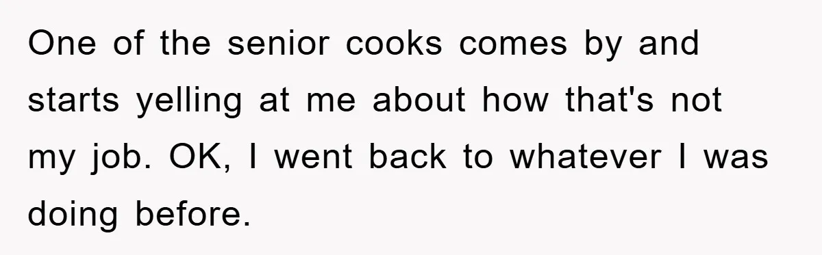 One of the senior cooks comes by and starts yelling at me about how that's not my job. OK, I went back to whatever I was doing before.