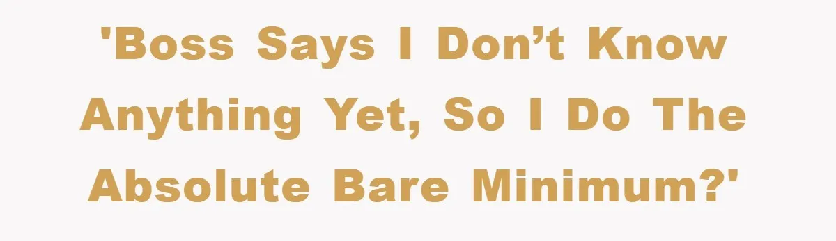 'Boss says I don’t know anything yet, so I do the absolute bare minimum?'