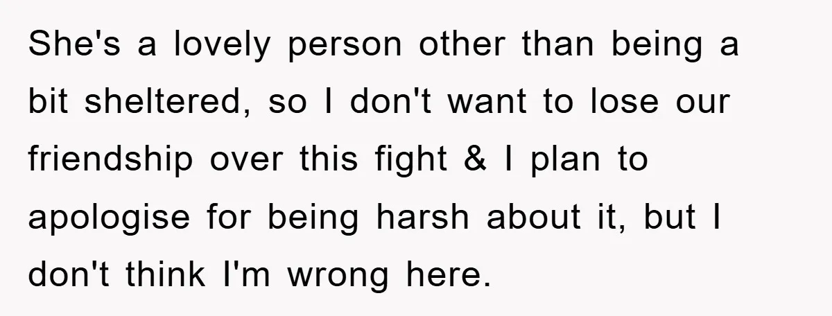 She's a lovely person other than being a bit sheltered, so I don't want to lose our friendship over this fight & I plan to apologise for being harsh about...