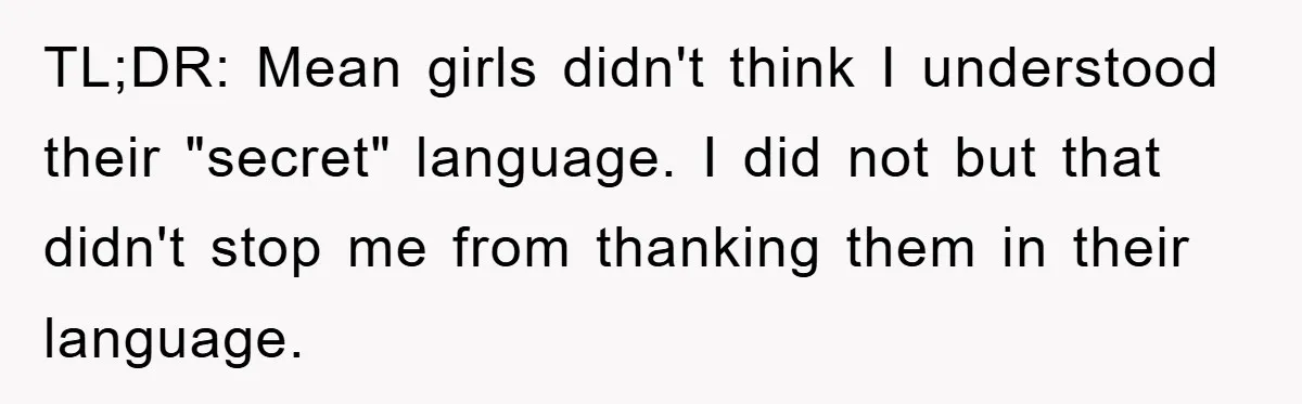 TL;DR: Mean girls didn't think I understood their "secret" language. I did not but that didn't stop me from thanking them in their language.