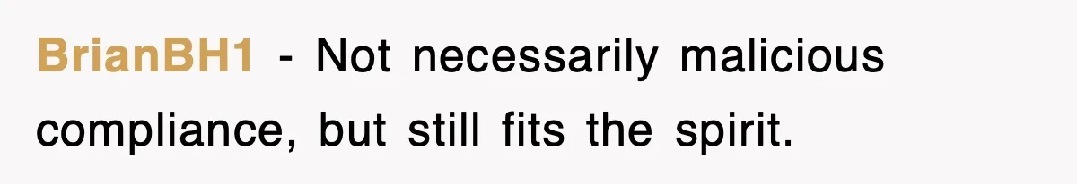 BrianBH1 − Not necessarily malicious compliance, but still fits the spirit.
