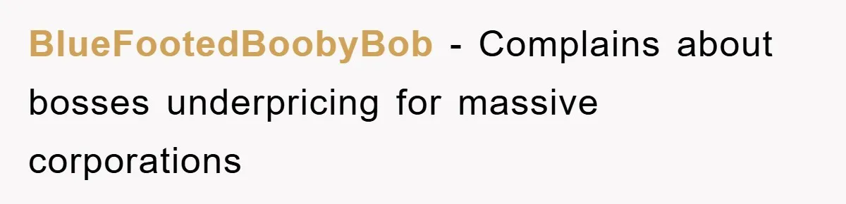 Boss Gave A Huge Discount To A Rich Client, Instantly Regretted It BlueFootedBoobyBob − Complains about bosses underpricing for massive corporations