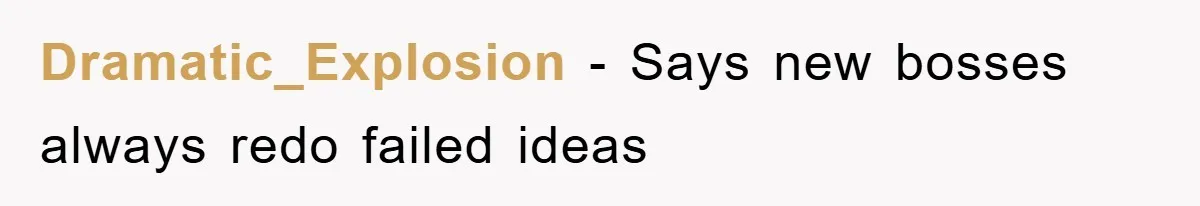 Boss Gave A Huge Discount To A Rich Client, Instantly Regretted It Dramatic_Explosion − Says new bosses always redo failed ideas
