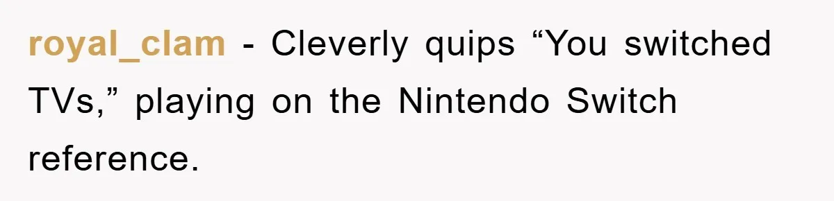 royal_clam − Cleverly quips “You switched TVs,” playing on the Nintendo Switch reference.