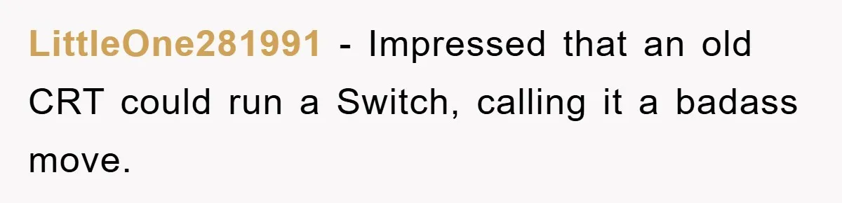 LittleOne281991 − Impressed that an old CRT could run a Switch, calling it a badass move.