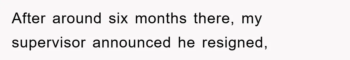After around six months there, my supervisor announced he resigned,
