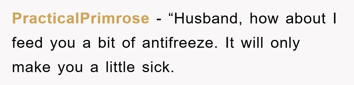 PracticalPrimrose - “Husband, how about I feed you a bit of antifreeze. It will only make you a little sick.