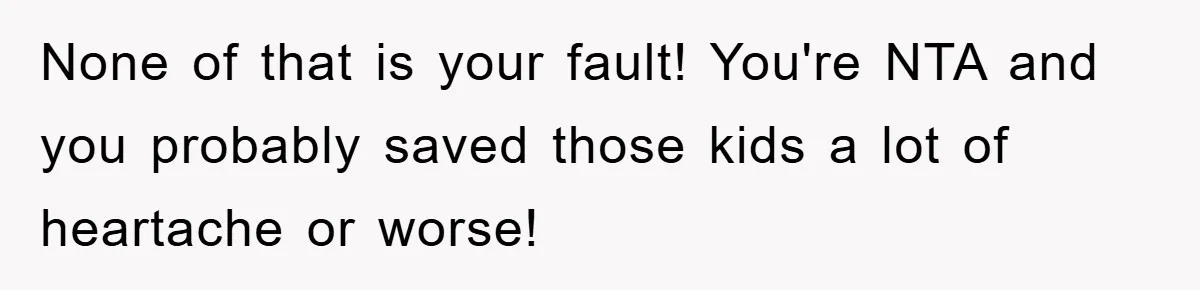 None of that is your fault! You're NTA and you probably saved those kids a lot of heartache or worse!