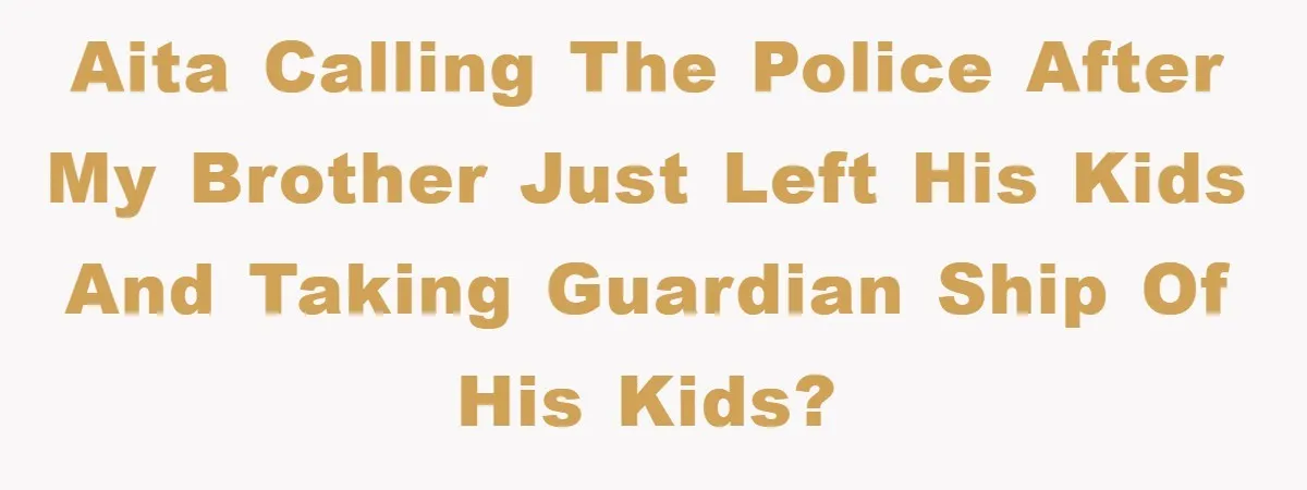 AITA calling the police after my brother just left his kids and taking guardian ship of his kids?