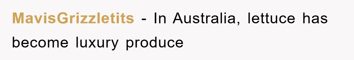 Kid Gets Revenge After Mom Forces Them To Eat Salad For Years, Serves A “Salad” Mom Will Never Forget MavisGrizzletits − In Australia, lettuce has become luxury produce