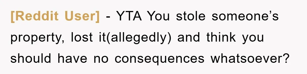 [Reddit User] − YTA You stole someone’s property, lost it(allegedly) and think you should have no consequences whatsoever?